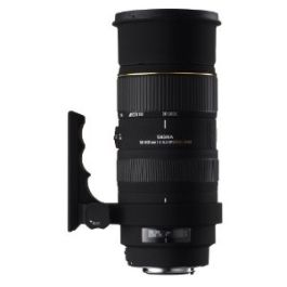 Sigma 50-500mm f/4.5-6.3 APO DG OS HSM Lens for Nikon | Sigma Lenses