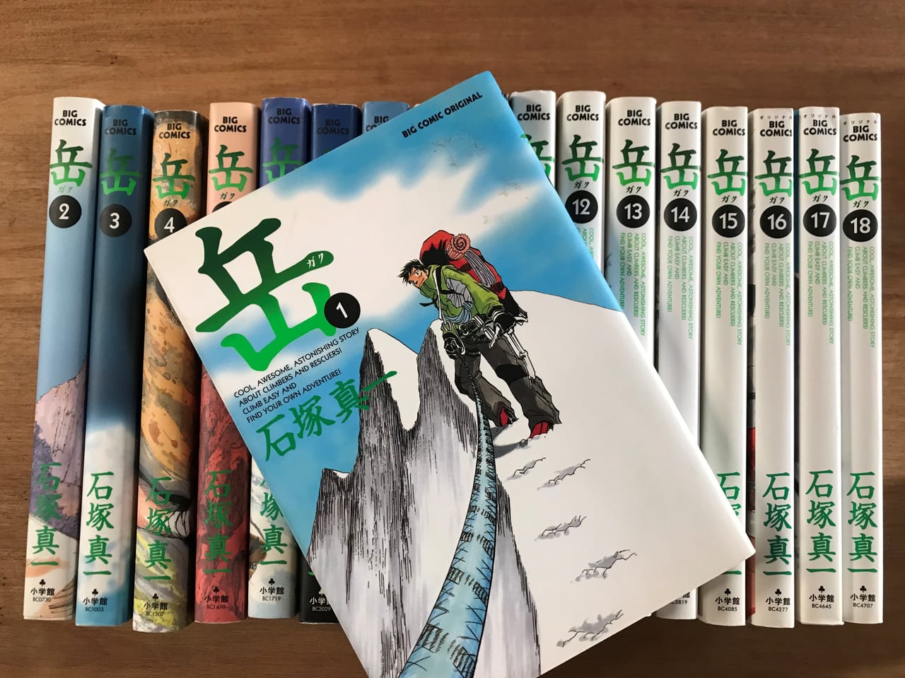 岳 全巻セット 初版 帯つき 石塚真一 岳 完全版 全巻9巻 全巻初版