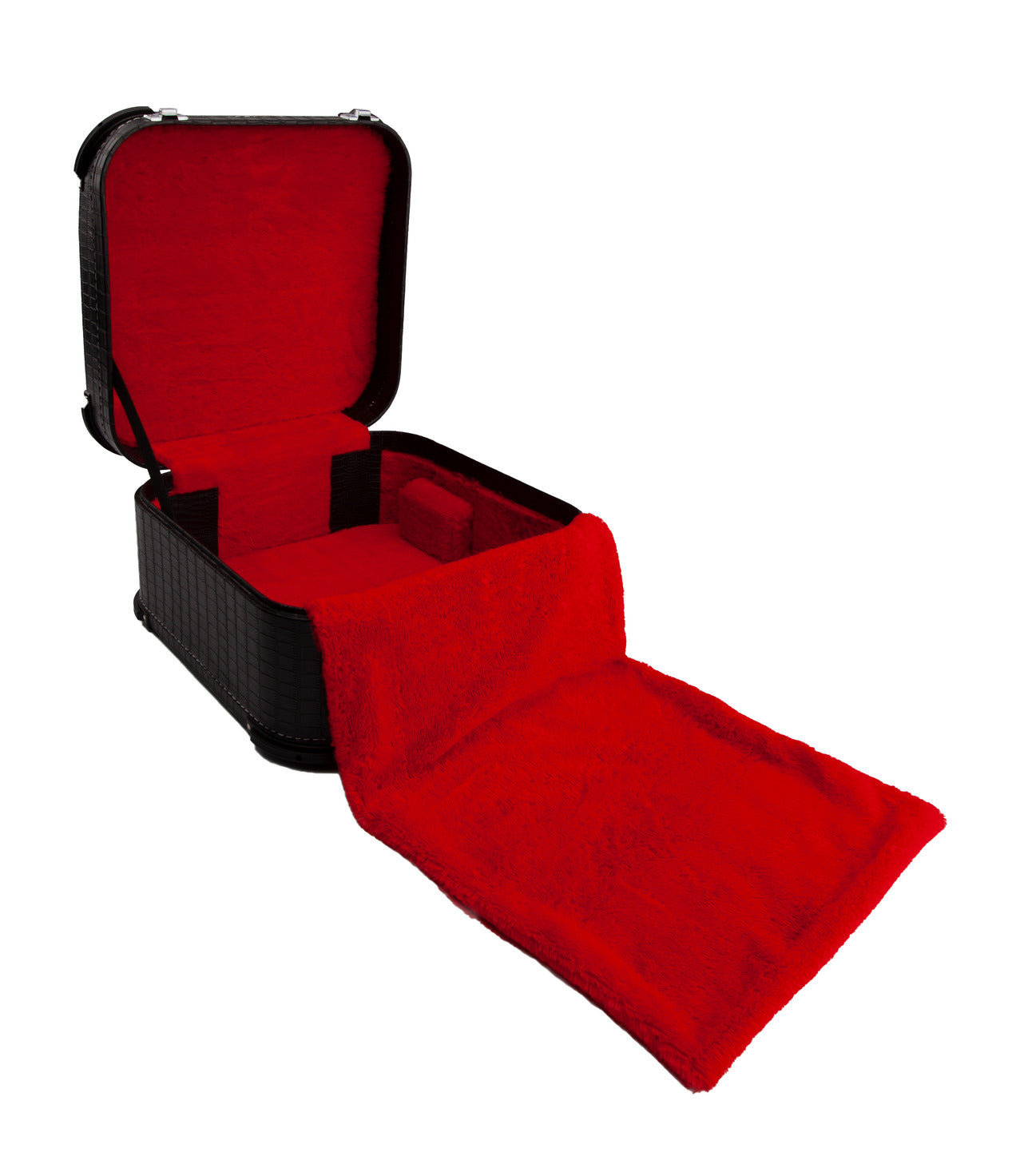 12X-DX_05.jpg?v=1708019538&