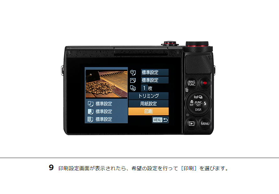 PowerShot SX530 HS カメラから直接プリント｜コンパクトデジタル