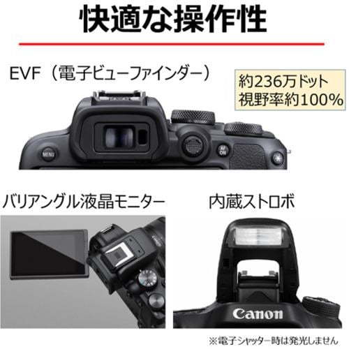 キヤノン EOSR10 ミラーレスカメラ EOS R10 ボディー | ヤマダウェブコム