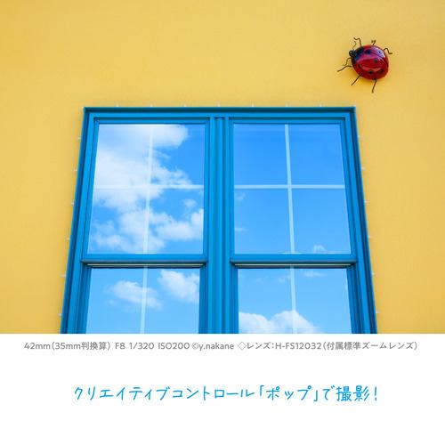 期間限定ギフトプレゼント】パナソニック DC-G100DW-K デジタル一眼