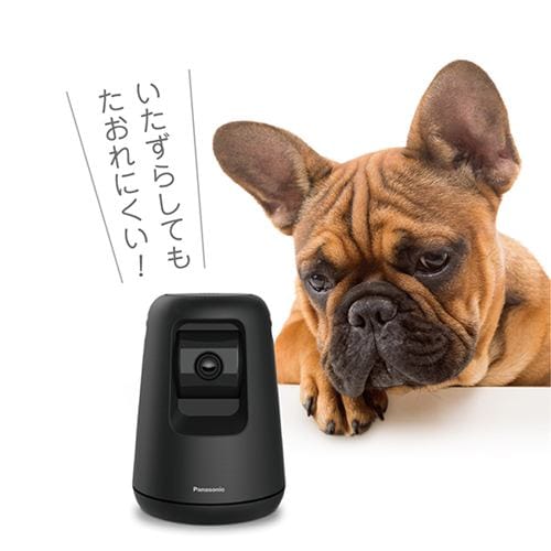 パナソニック KX-HDN215-K HDペットカメラ ブラック KXHDN215 | ヤマダ