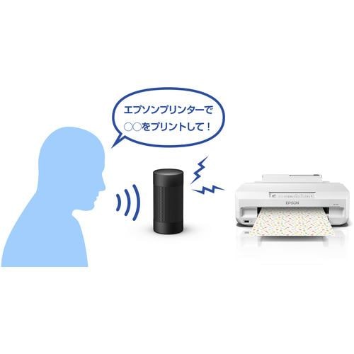 EPSON EP-315 インクジェットプリンター 6色独立 ホワイト EP315