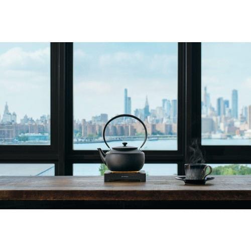 BALMUDA KPT02JP-BK 電気ケトル MoonKettle 0.9L ブラック | ヤマダ