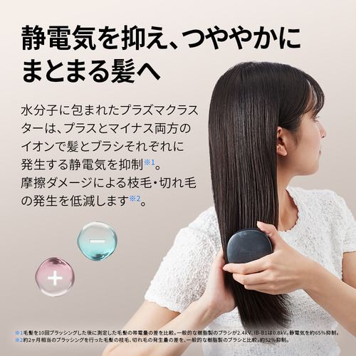 シャープ IBB1 プラズマクラスターヘアブラシ ホワイト | ヤマダウェブコム