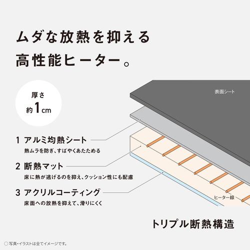 パナソニック DC-3HAC3-C 着せ替えカーペット セットタイプ 3畳相当