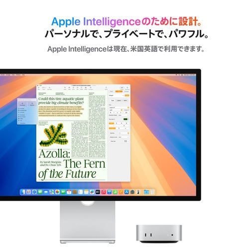 アップル(Apple) MMN000004 Mac mini Apple M4チップ 10コアCPU 10コア