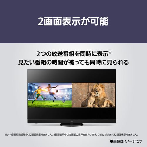 パナソニック TV-55Z95A 55V型 有機ELテレビ 4Kチューナー内蔵 VIERA