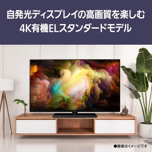 パナソニック TV-48Z85A 48V型 有機ELテレビ 4Kチューナー内蔵 VIERA