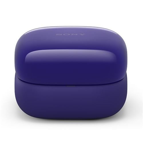 ソニー ワイヤレス イヤホン 左右分離 ノイズキャンセリング IPX4 最大