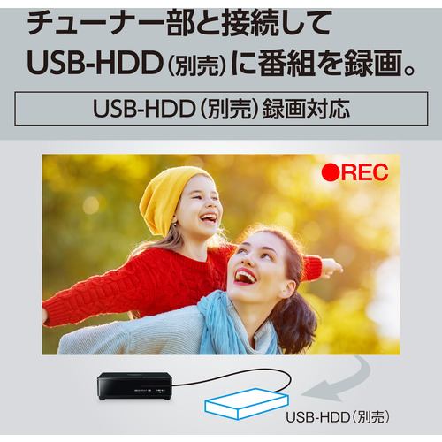 パナソニック UN-10L12 ポータブル地上・BS・110度CSデジタルテレビ