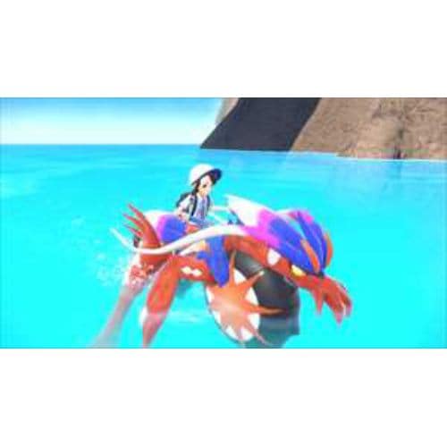 ポケットモンスター スカーレット Nintendo Switch HAC-P-ALZXA