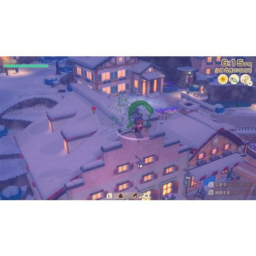 switch ソフトセット 風のグランドバザール ファンタジーライフi 龍の