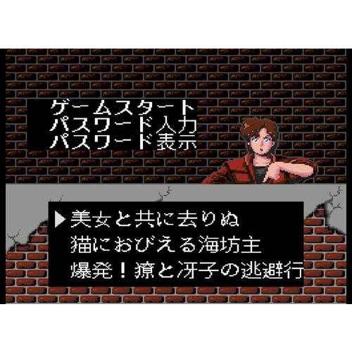 シティーハンター通常版 【Switch】 HAC-P-BS9ZA | ヤマダウェブコム