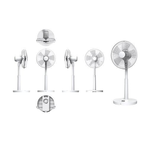 ヤマゼン YWXBGD301 30cmDC壁掛け扇風機 ホワイト | ヤマダウェブコム