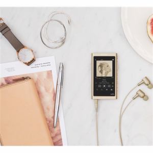 アウトレット超特価】ソニー NW-A55NM ウォークマン A50シリーズ 16GB