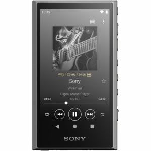 ソニー NW-A307 H ウォークマン ハイレゾ音源対応 WALKMAN A300
