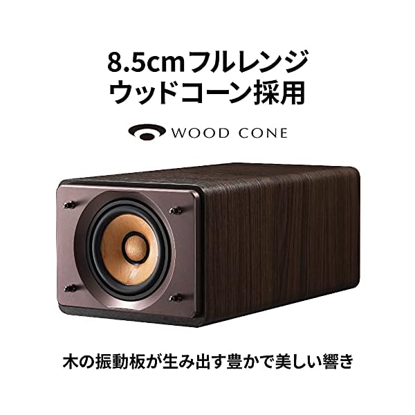 ヤマダモール | JVCケンウッド EX-S55-T ウッドコーンシリーズ