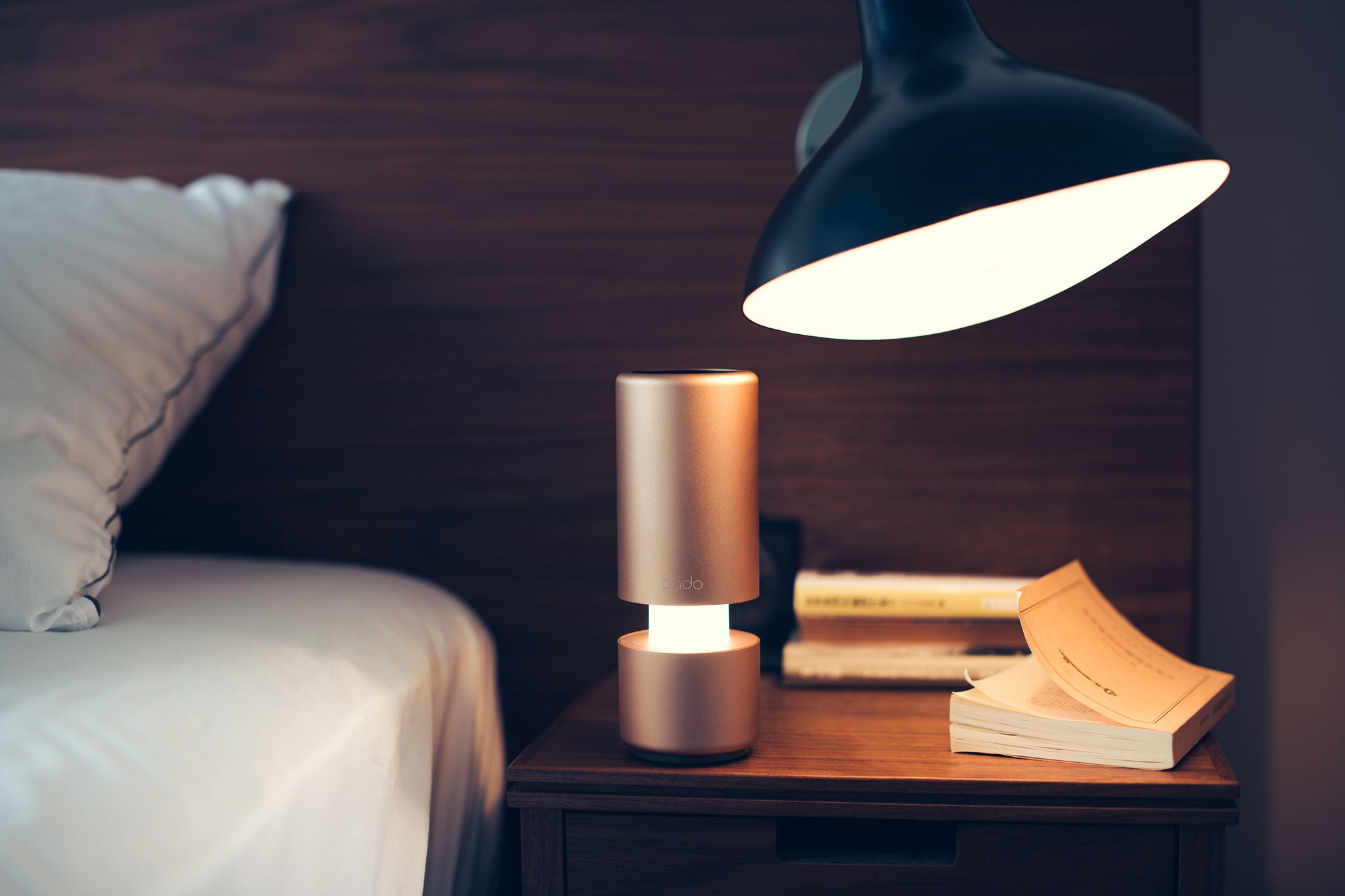 LEAF Portable (MP-C30) – cado