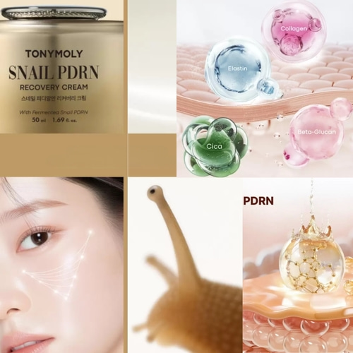 TONYMOLY Snail PDRN Recovery Cream 50ml – Anti-aging & Skin