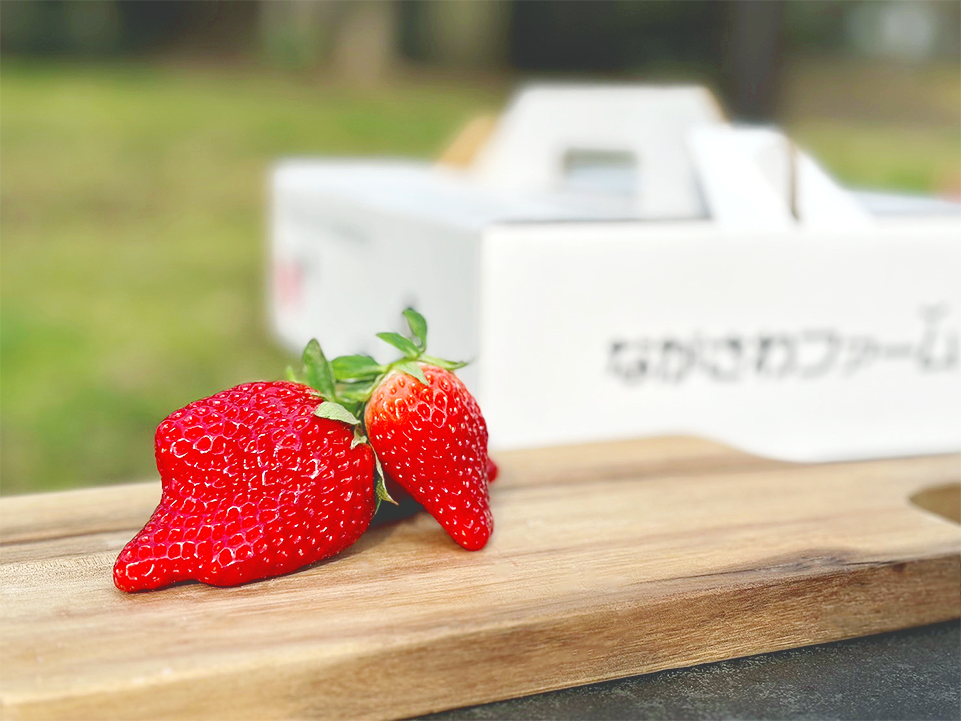 ストロベリーフェスティバル番外編】いちごのおはなし | CAKE.TOKYO