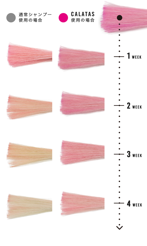 HEAT CARE SHAMPOO ‐ Pk ‐ シャンプー - CALATAS OFFICIAL ONLINE STORE