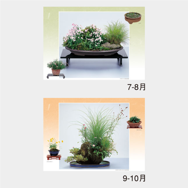 NK-46 野の花・山の花(山野草盆栽集) | 名入れカレンダー2027年 印刷