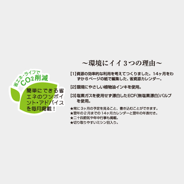 TD-787 グリーン3ヶ月eco-上から順タイプ- 名入れカレンダー | 名入れ
