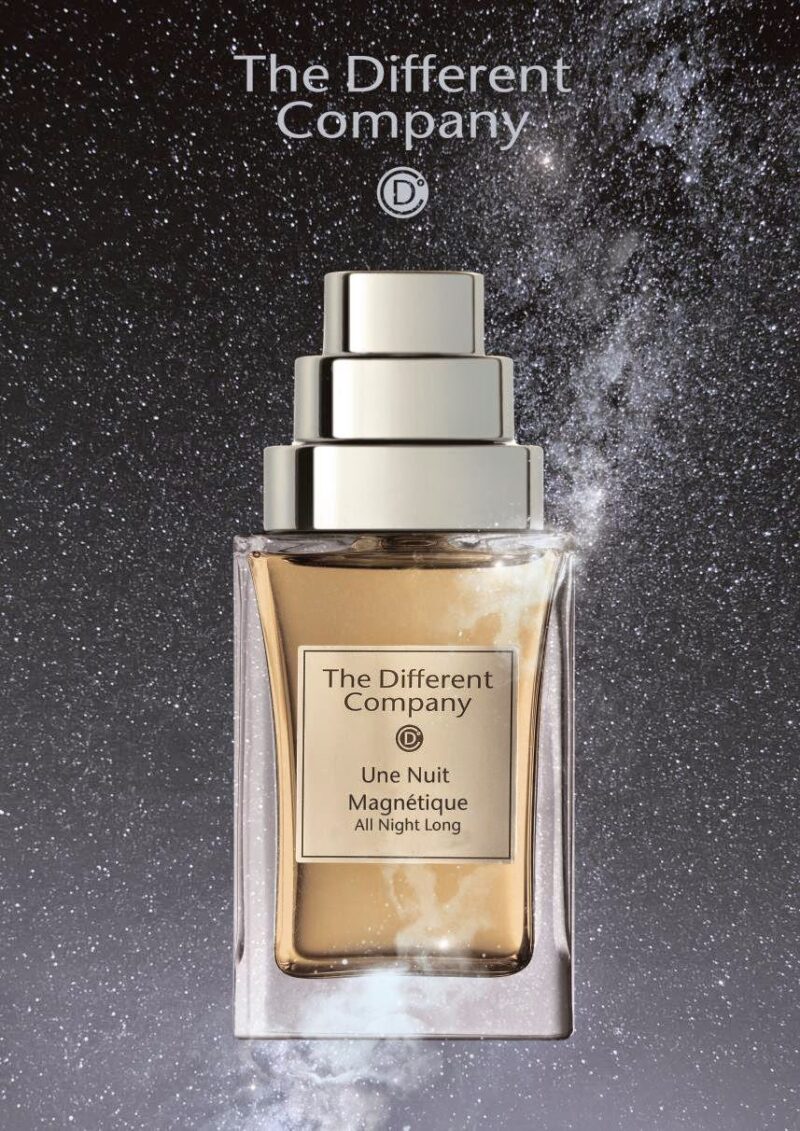 ザ ディファレント カンパニー】ニュイ マグネティック