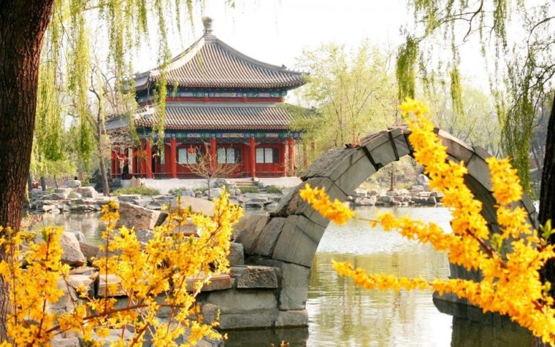 ザ ディファレント カンパニー】オスマンチュス（ジャン＝クロード