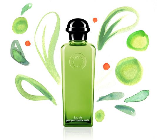 オー ドゥ パンプルムス ローズ｜太陽よりも明るくきらめくホワイト