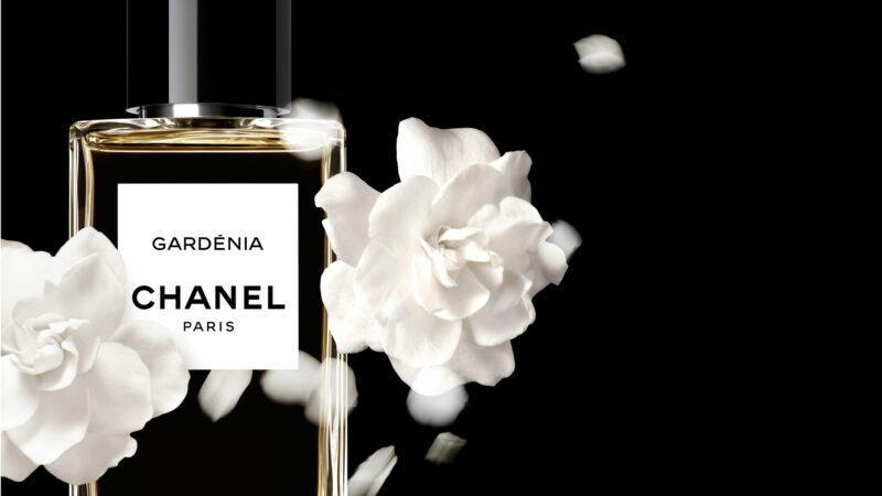 ガーデニア｜あなたがもっともっと美しくなる「シャネルの白」で