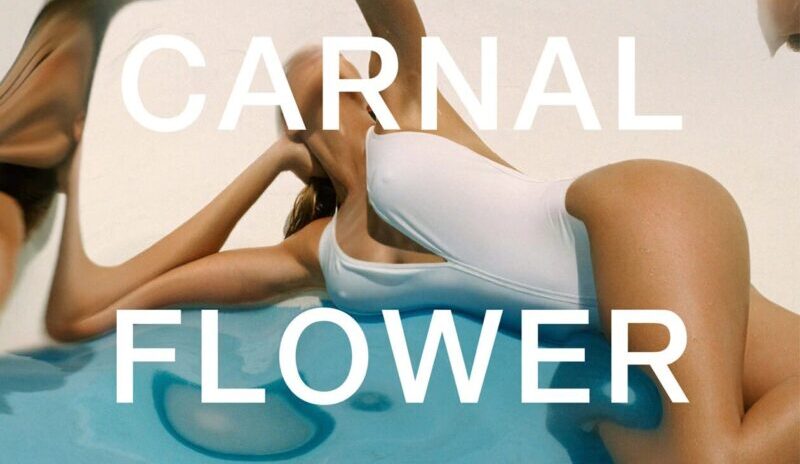 フレデリック マル】カーナル フラワー（ドミニク・ロピオン