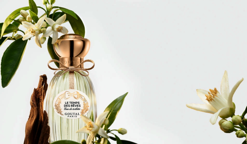 ル タン デ レーヴ｜〝夢を香りにする都〟グラースのオレンジの木の