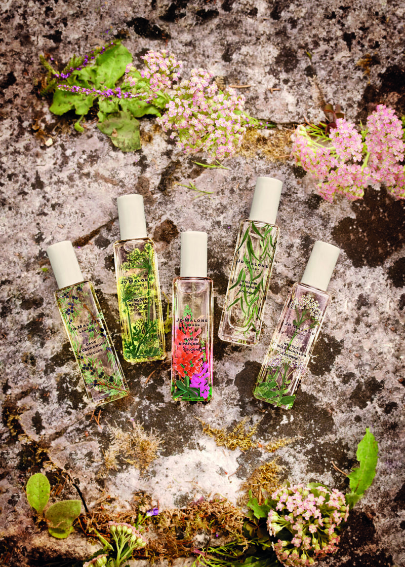 ジョー マローン】ワイルド アキレア コロン（ルイーズ・ターナー/ヤン