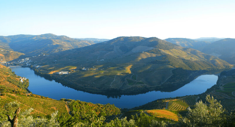 ペンハリガン】ドウロ（デューロ）（マイケル・ピクタール） | カイエ