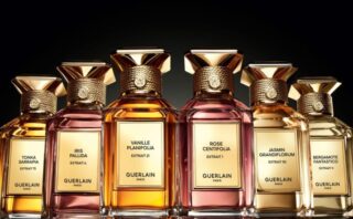 ゲラン】ベルガモット ファンタスティコ エクストレ 11（ティエリー