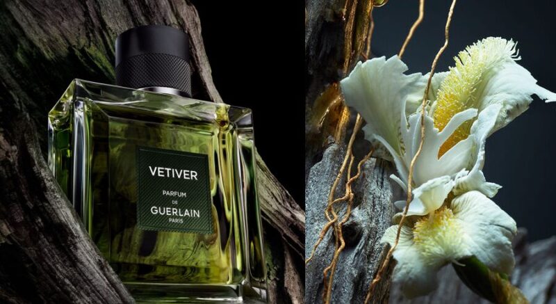 ゲラン】ベチバー パルファン（デルフィーヌ・ジェルク） | カイエ・デ