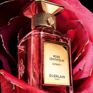 ゲラン】ベルガモット ファンタスティコ エクストレ 11（ティエリー