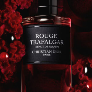 ディオール】ラッキー エスプリ ドゥ パルファン（フランシス