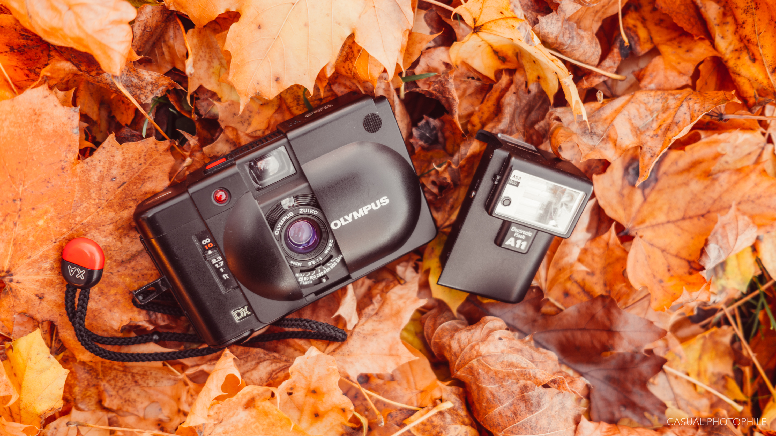 Olympus XA4 Macro Review - Great Things in Small Packages