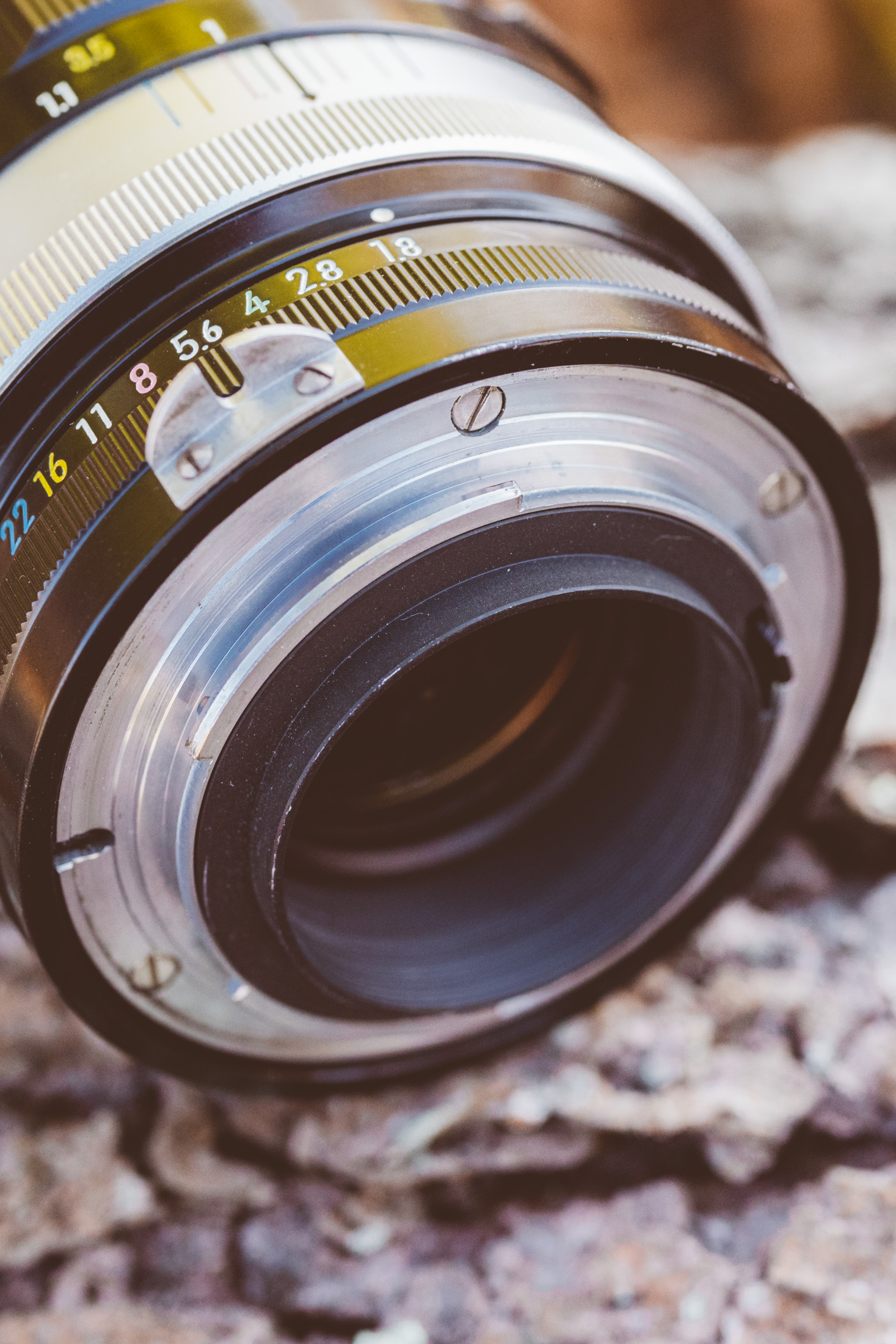 Nikon Nikkor H Auto 85mm f/1.8 (1964-1977) Lens Review - Casual