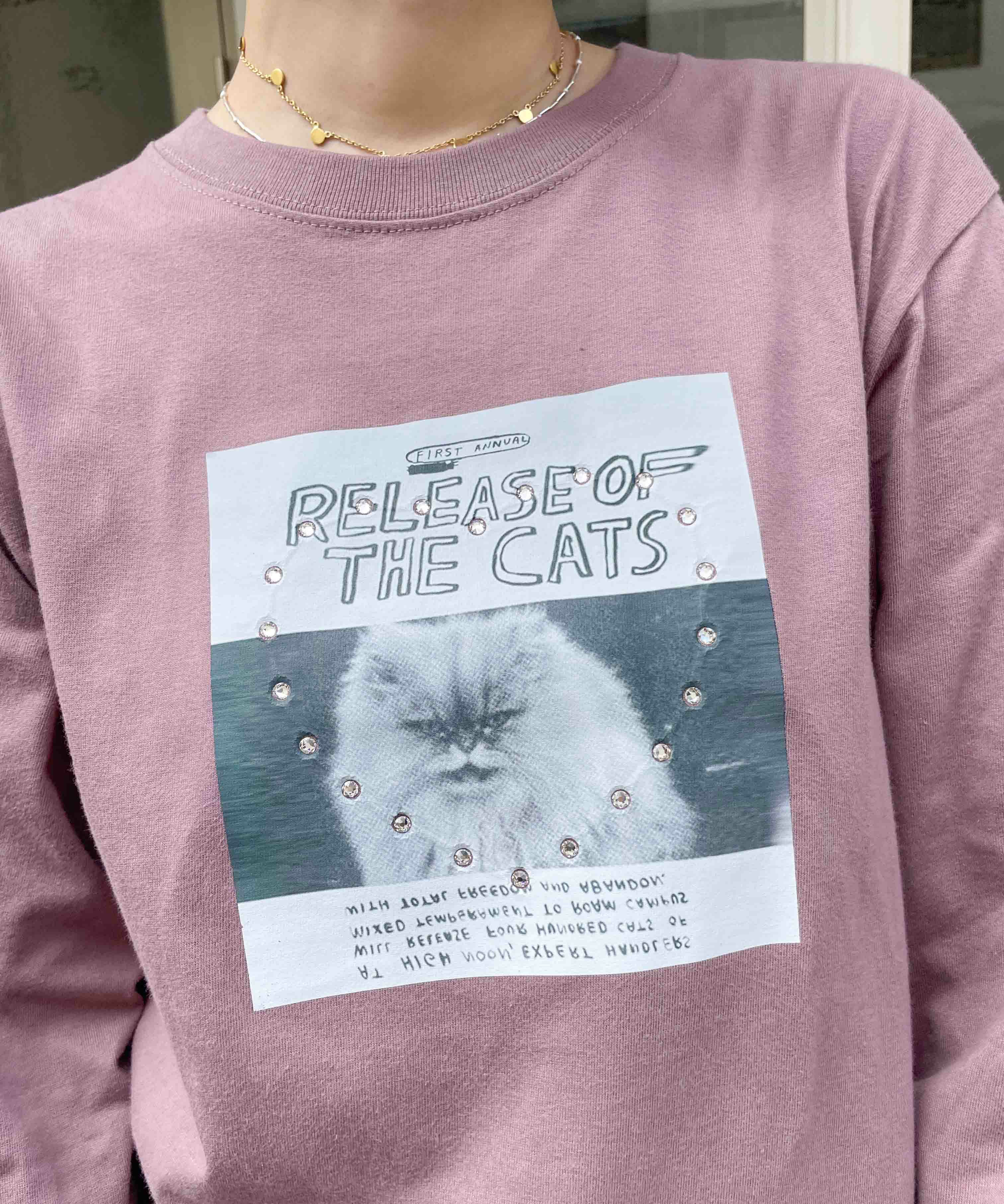 HEY! Mrs ROSE(ヘイ！ミセスローズ)HOTFIXロンT | CASSELINI ONLINE SHOP