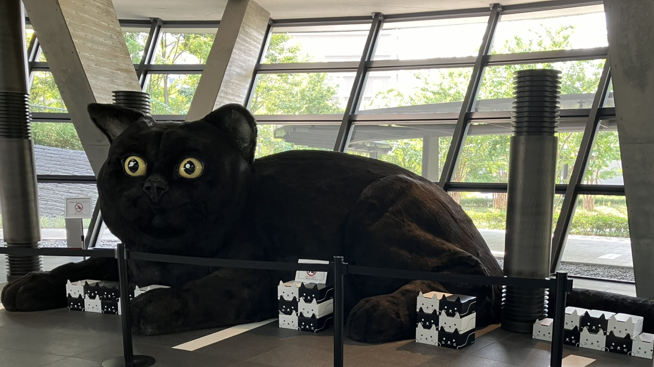 羽田クロノゲート/巨大クロネコ (東京・羽田) | ねこスポット.com