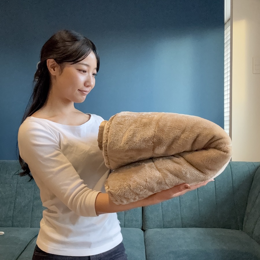 Panasonic（パナソニック） ホットマット DC-SN20-T [ライトブラウン