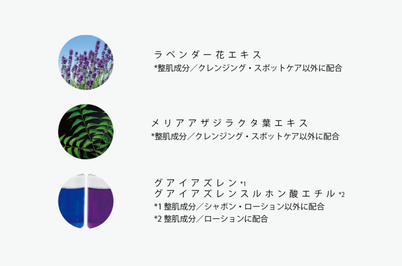 美しい素肌をはぐくむカシー化粧品 | 公式サイト | 