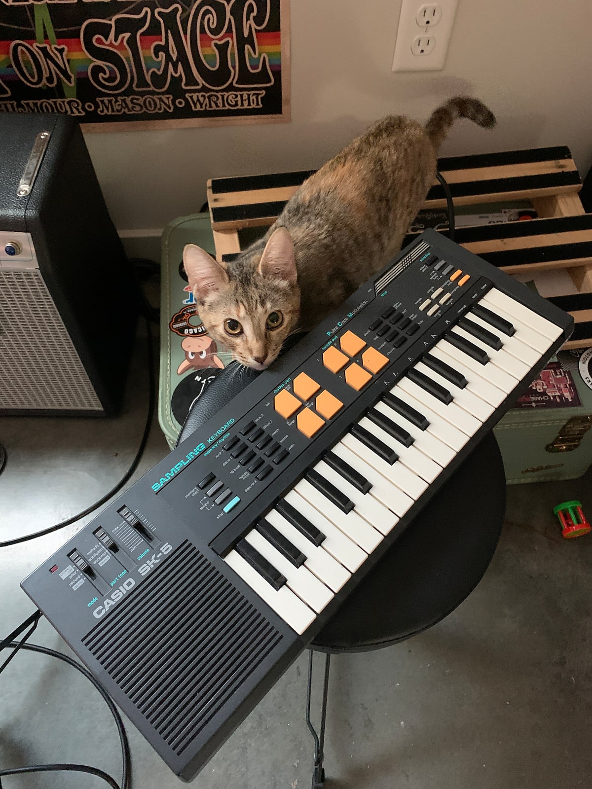 Casio SK-5 32-Key Sampling Keyboard - CatSynth