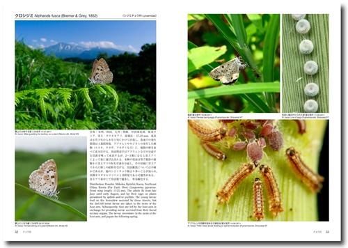 アリの巣の生きもの図鑑 The Guests of Japanese