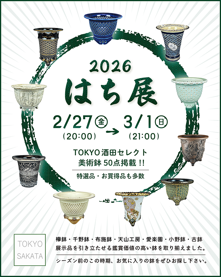 富貴蘭：特売品の商品一覧 | TOKYO酒田